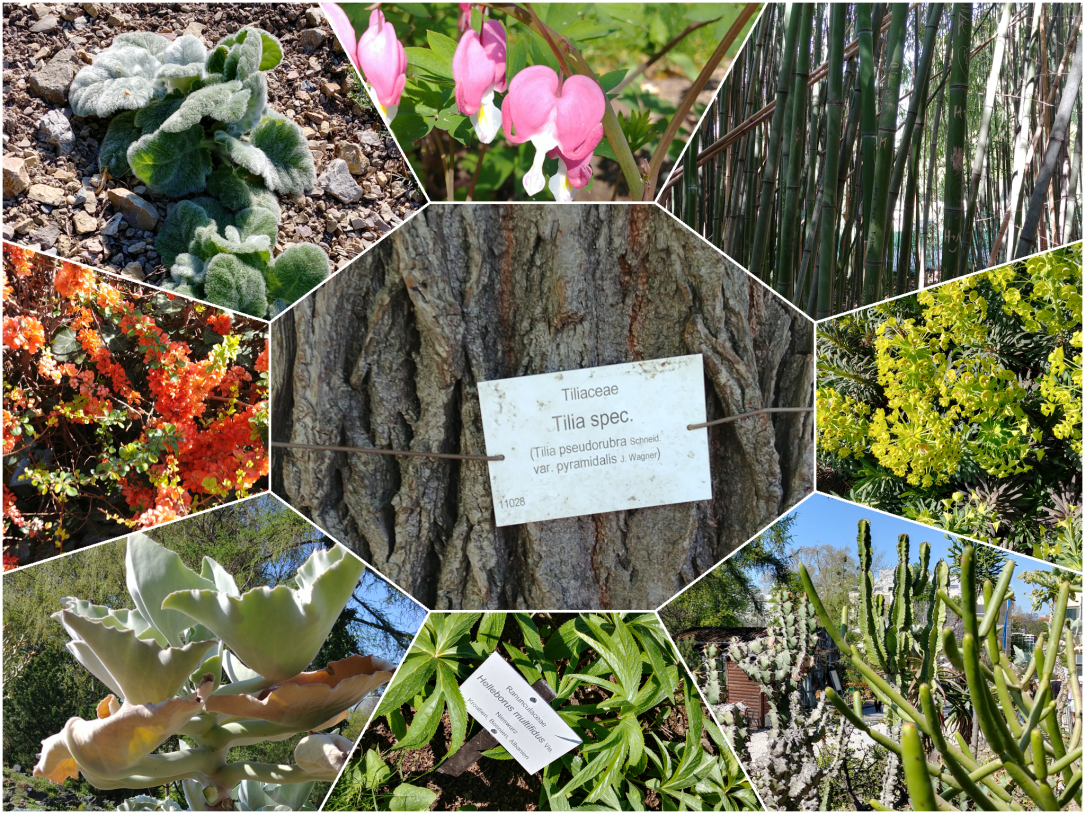 PicsArt_04-27-11.02.27